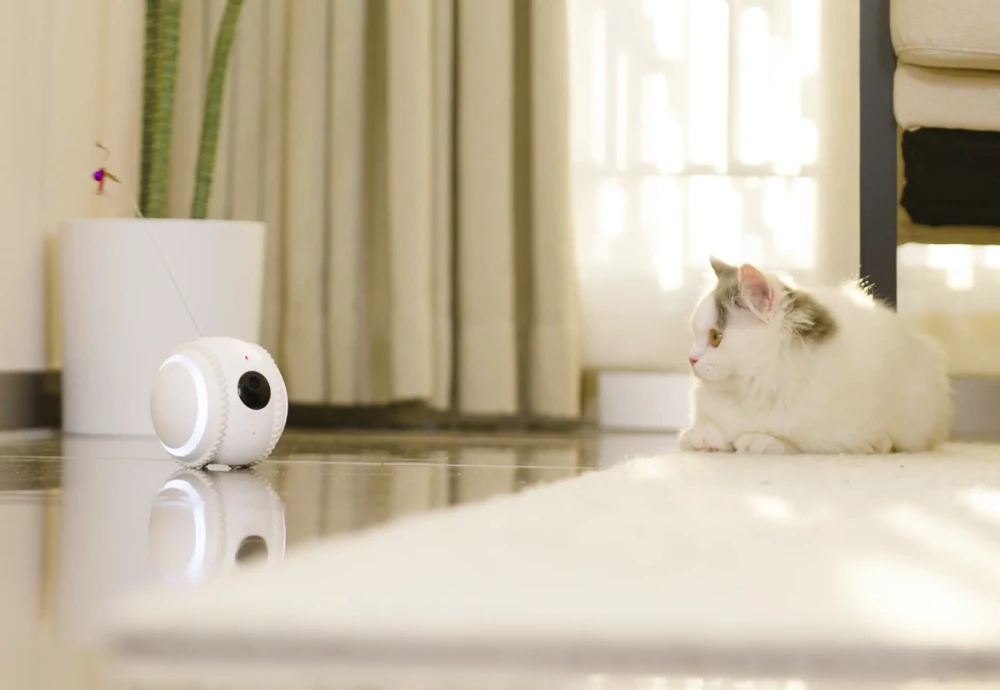 wireless outdoor pet camera